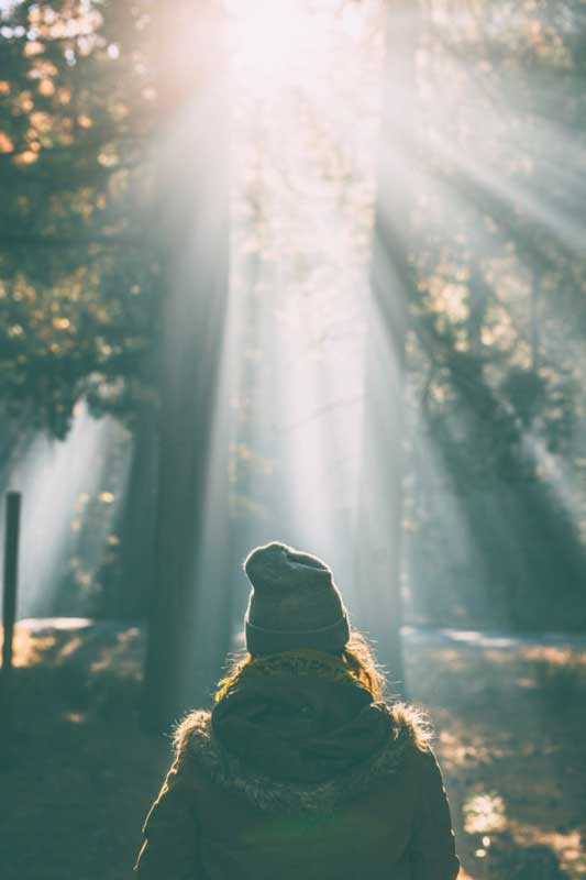 frau-im-wald frau-im-wald